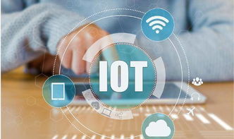 物聯(lián)網(wǎng) 無(wú)處不在的智能連接與人工智能集成的行業(yè)應(yīng)用